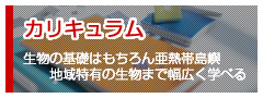 琉球大学理学部 生物系カリキュラム